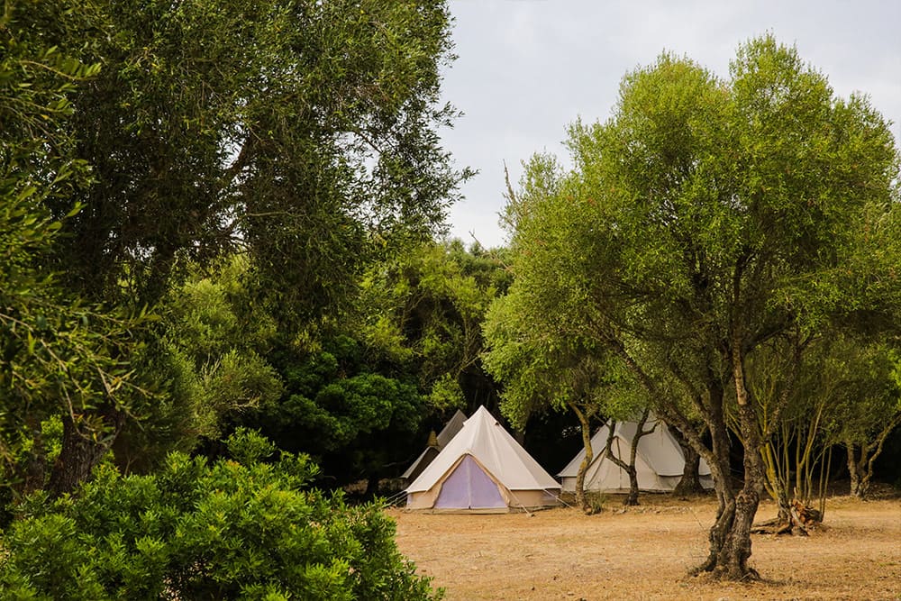 tiendas de campaña en the glamping